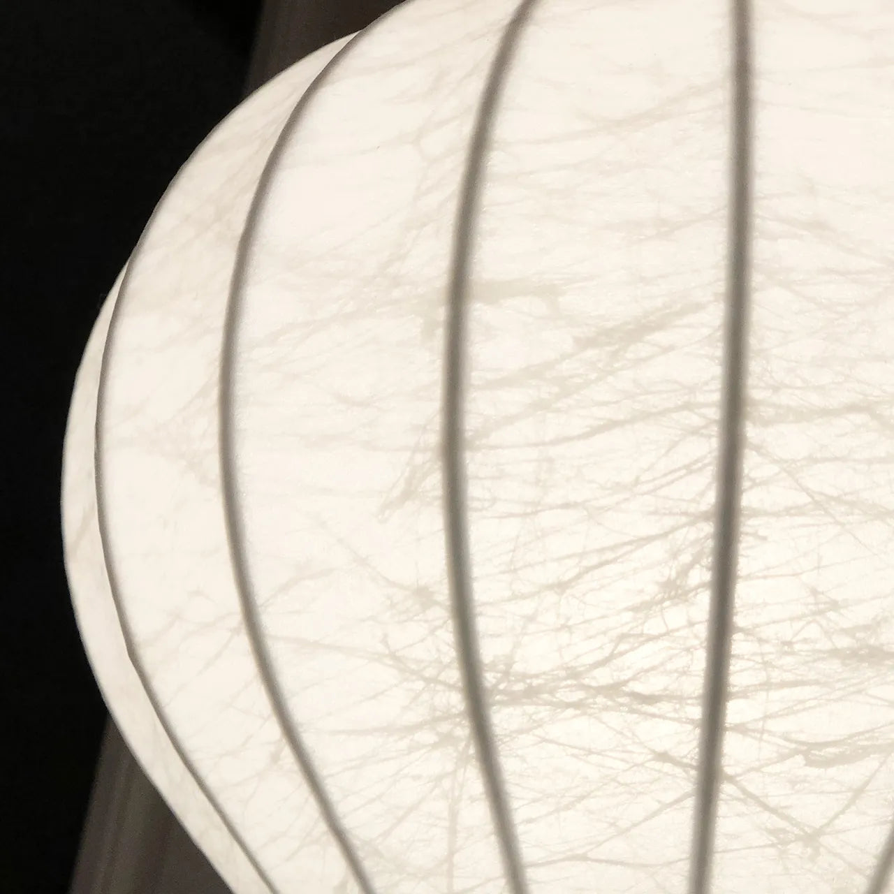 Nærbilde av Gatto bordlampe fra Flos