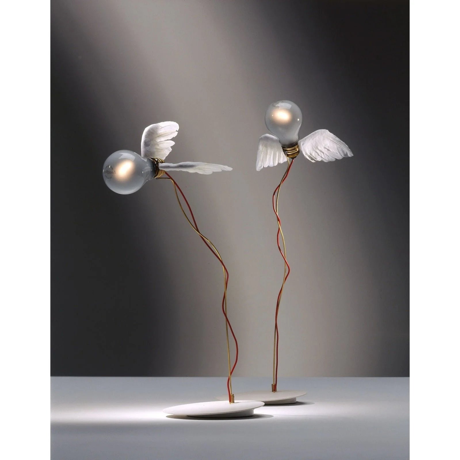 Lucellino Bordlampe