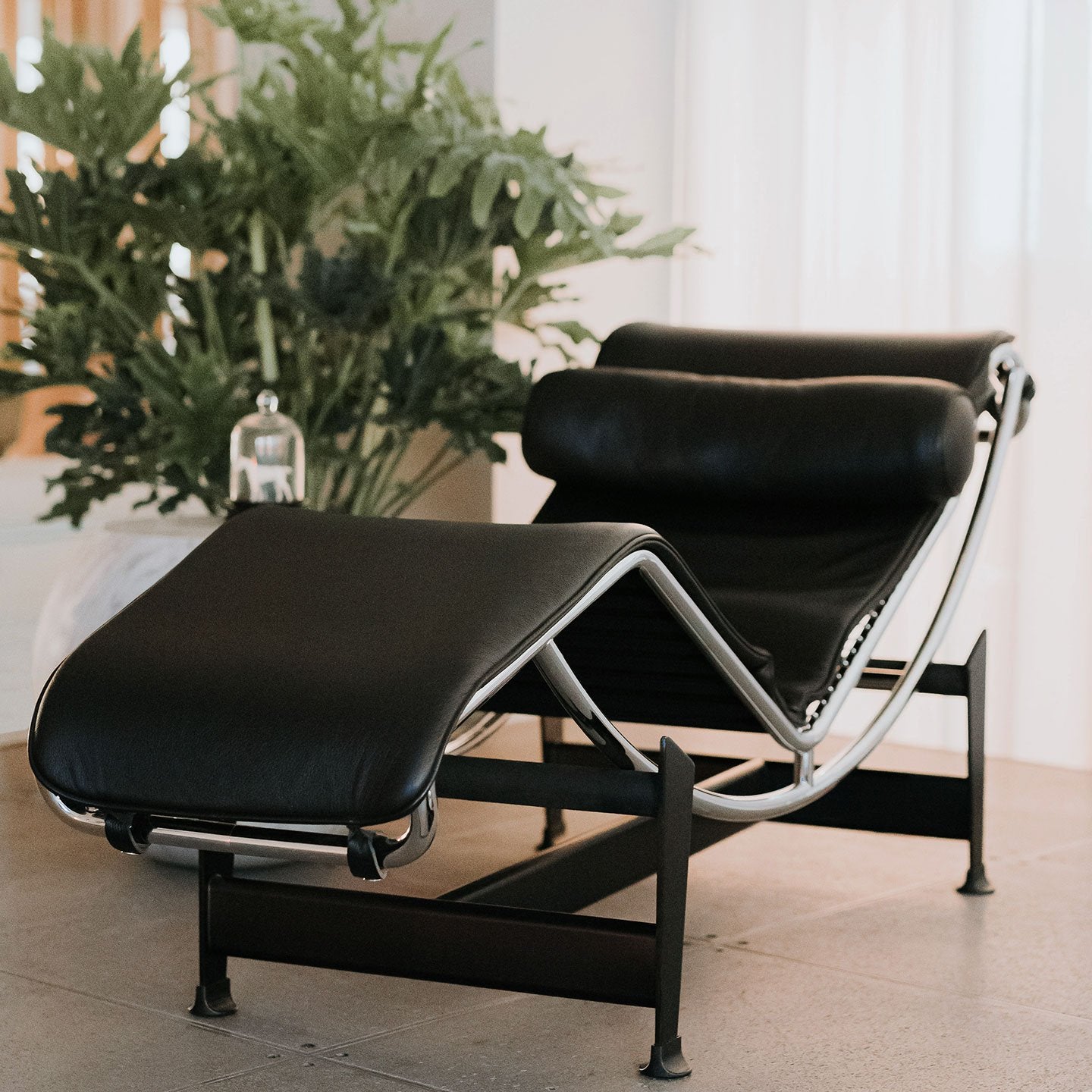 loungestol LC4 fra Cassina med pute i sort skinn og krom base