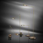 Daphine Terra LED Gold