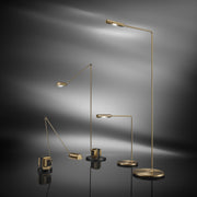 Daphine Terra LED Gold