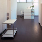 Haller Serving Trolley 30