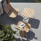 Lilium Outdoor Longestol