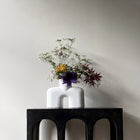 Cobra Vase Uno Medio