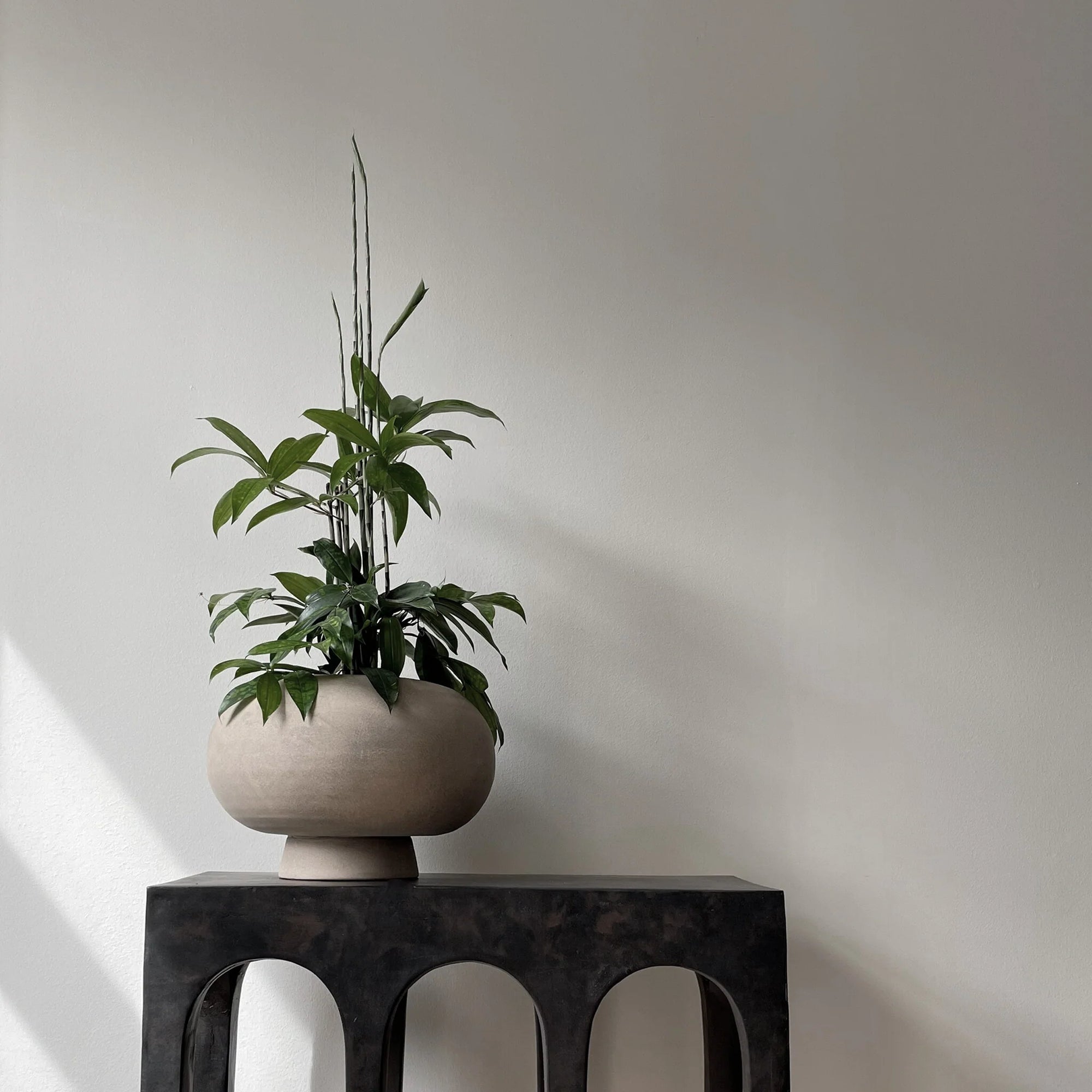 Kabin Vase Fat