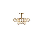 Apiales 9 Taklampe