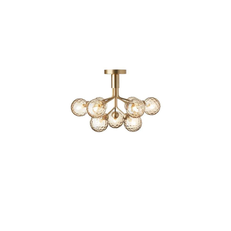 Apiales 9 Taklampe