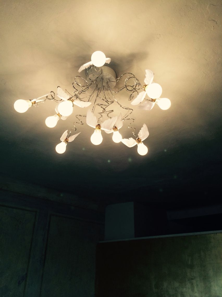 Birdies Nest Taklampe