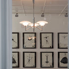 PH 3/2 Academy Stammekrone