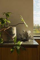44 Bordlampe