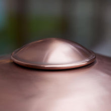 HL410™ Utendørs Vegglampe