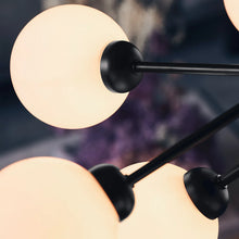 Apiales 9 Taklampe