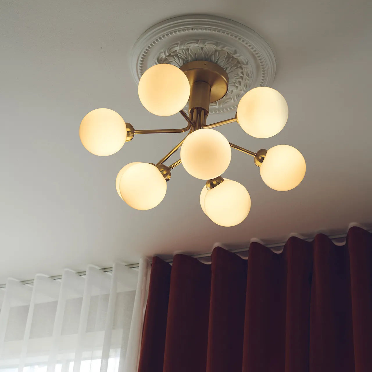 Apiales 9 Taklampe