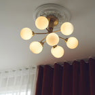 Apiales 9 Taklampe