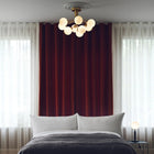 Apiales 9 Taklampe