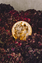 118P Oppladbar lampe fra Bocci i bronse og hvitt munnblåst glass 