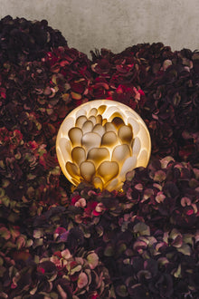 118P Oppladbar lampe fra Bocci i bronse og hvitt munnblåst glass 