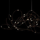 Flock of Light 31