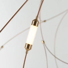 Flock of Light 21