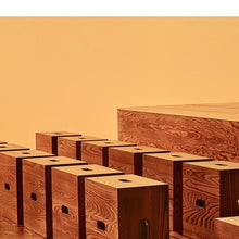 Le Corbusier LC14 for Cassina 