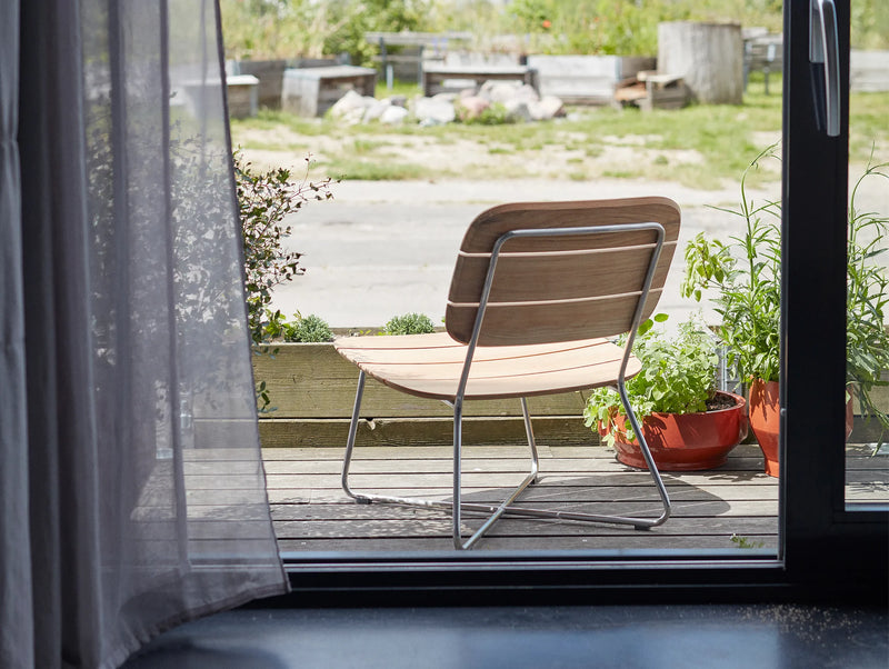 Lilium Outdoor Longestol