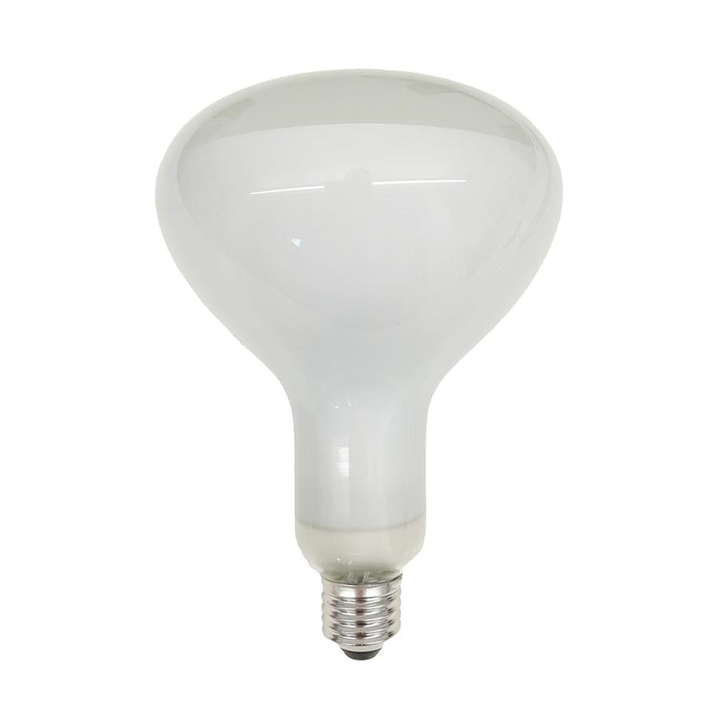 Parentesi RF32366 Lyspære