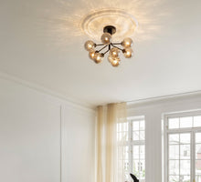 Apiales 9 Taklampe