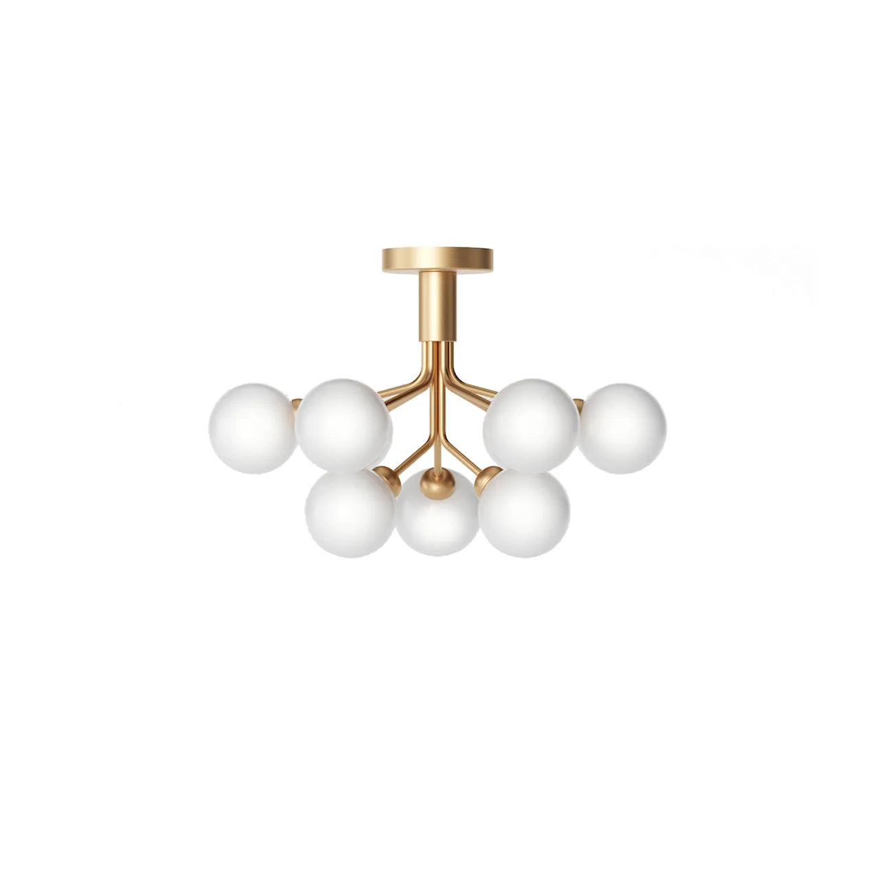 Apiales 9 Taklampe