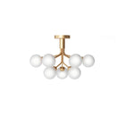 Apiales 9 Taklampe