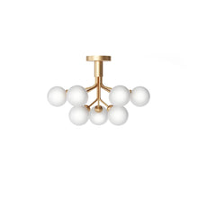 Apiales 9 Taklampe