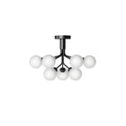 Apiales 9 Taklampe