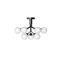 Apiales 9 Taklampe