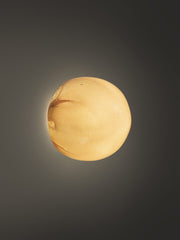Bocci 84s Vegg- og Taklampe, Dark