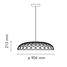 Skynest Pendel