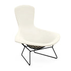 Bertoia Bird Loungestol fra Knoll, produktbilde