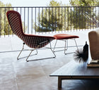Bertoia Bird Loungestol fra Knoll, miljøbilde