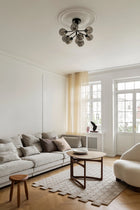 Apiales 9 Taklampe