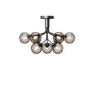 Apiales 9 Taklampe