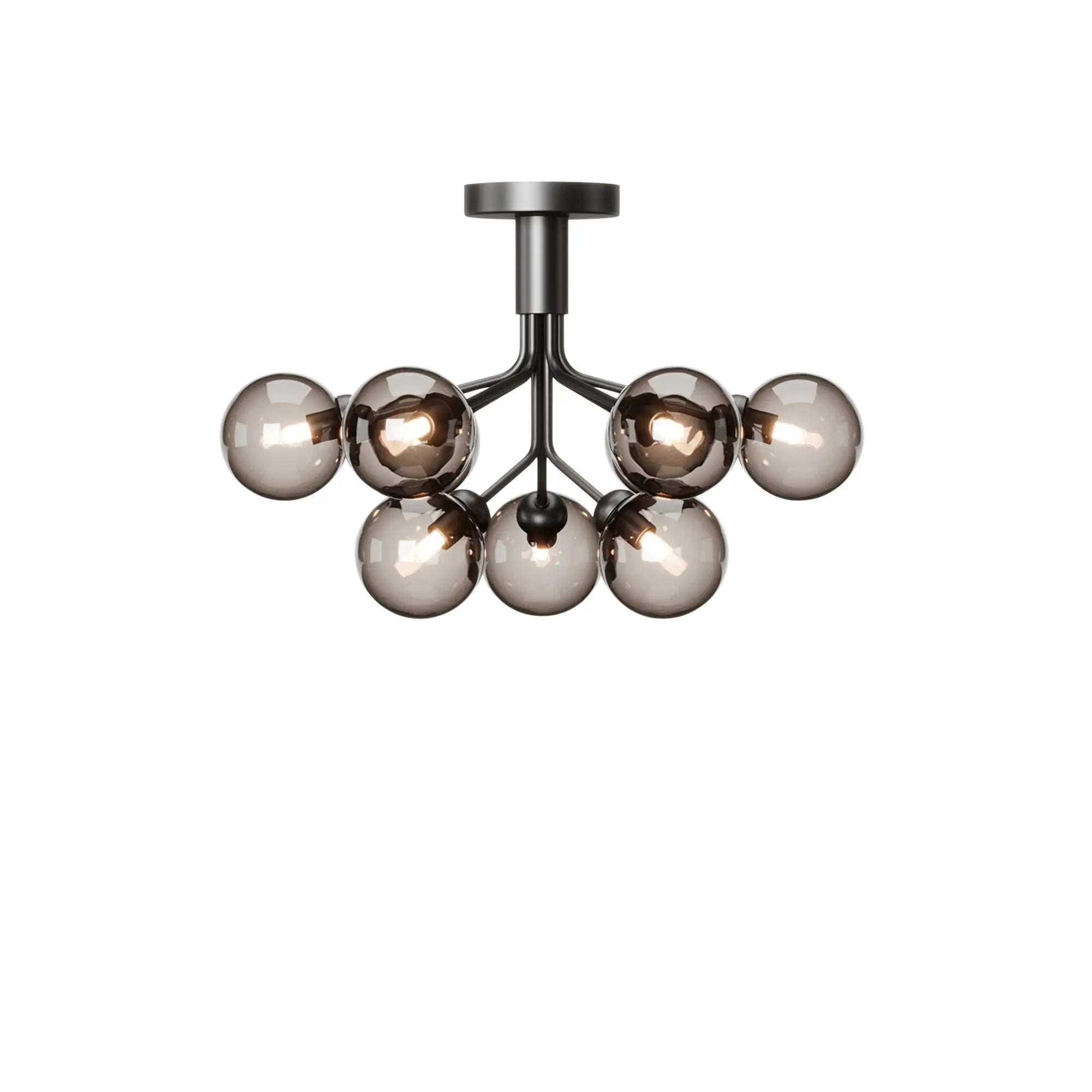 Apiales 9 Taklampe