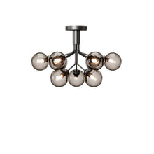Apiales 9 Taklampe