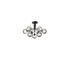Apiales 9 Taklampe