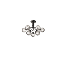 Apiales 9 Taklampe