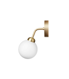 Apiales Vegglampe
