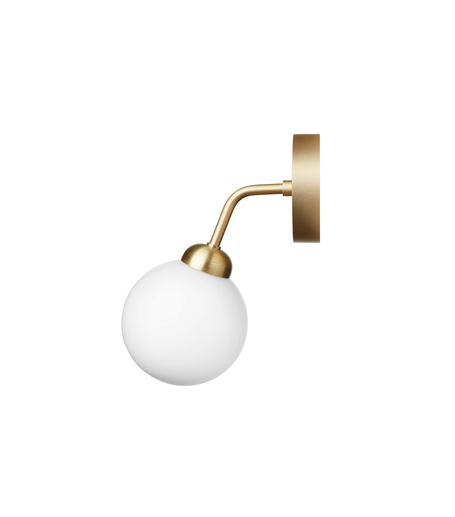 Apiales Vegglampe