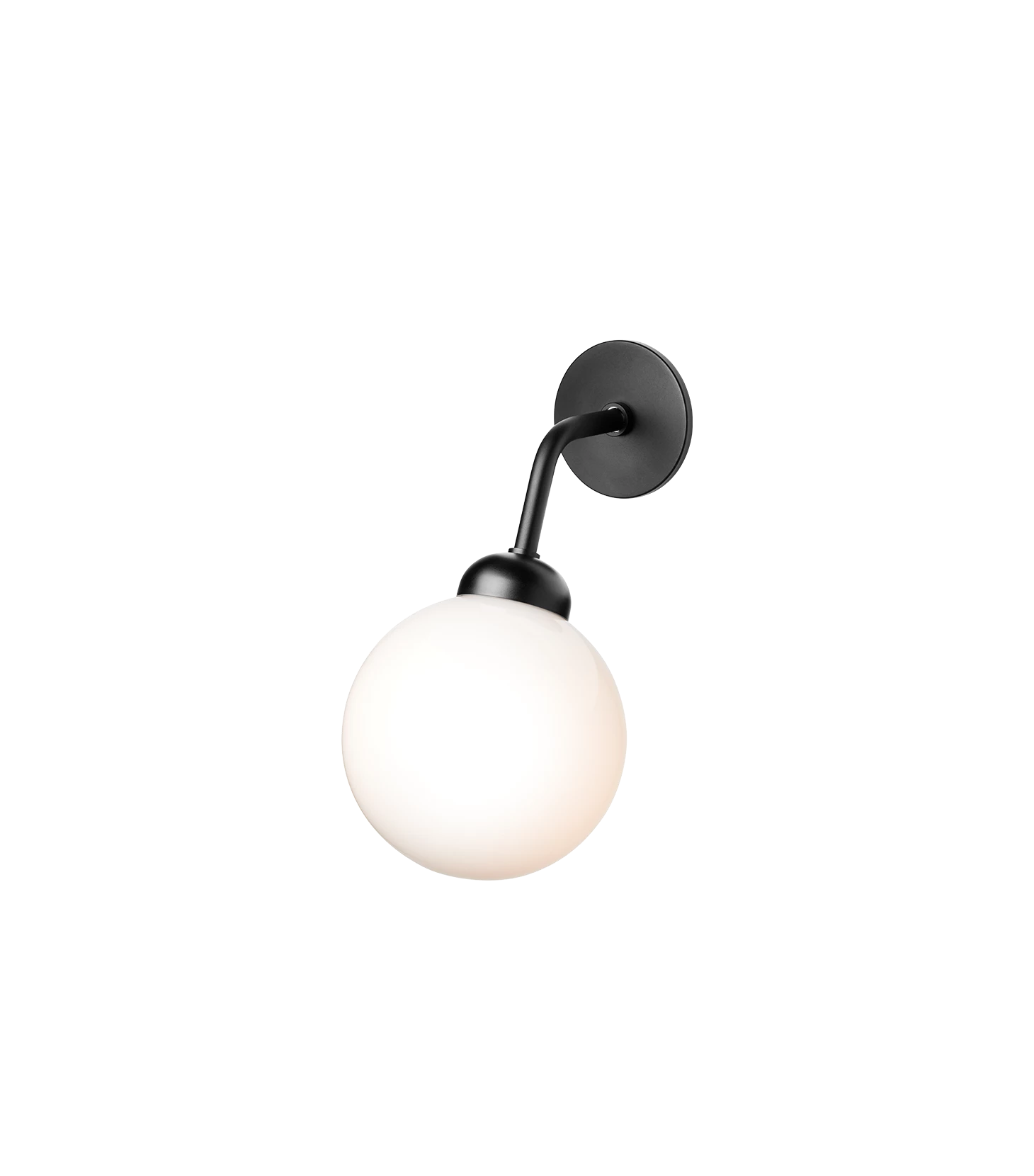 Apiales Vegglampe