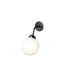 Apiales Vegglampe