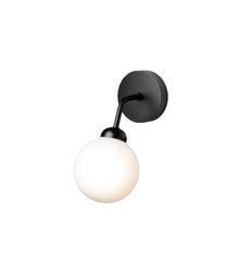 Apiales Vegglampe