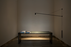 Swan Vegglampe